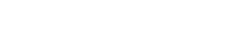 Langley-Developments-Logo-White-01